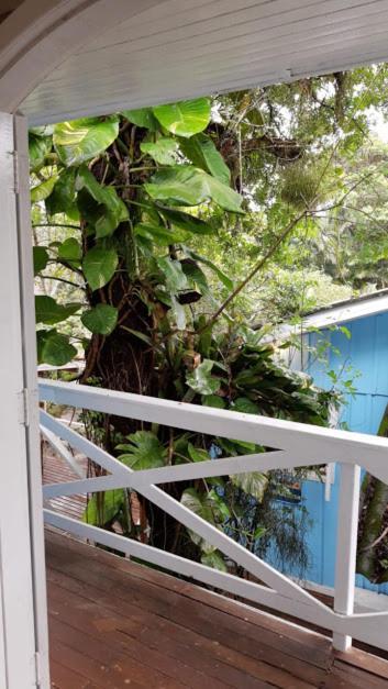 Pousada Ilha Do Mel Cafe Экстерьер фото